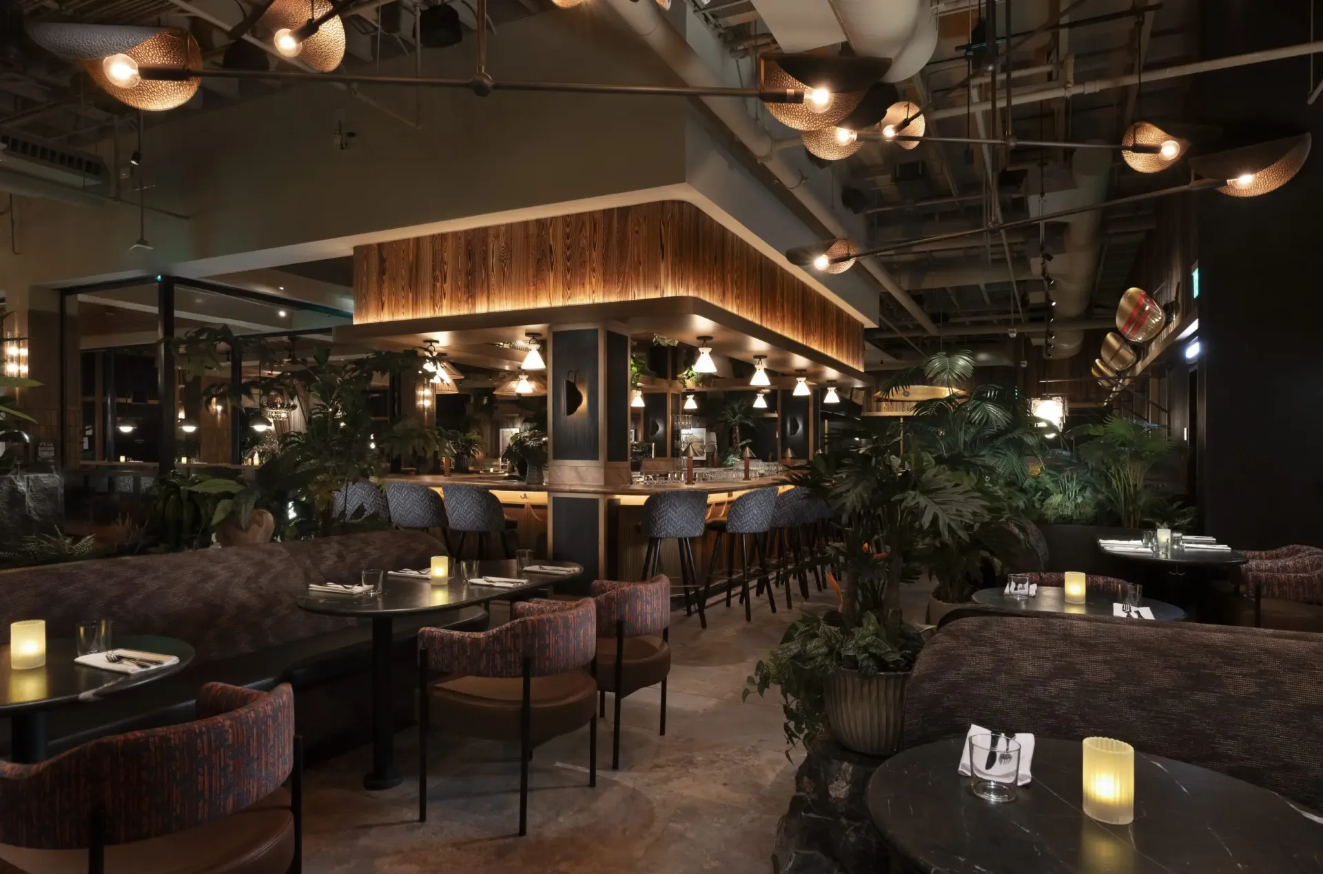 Earls Kitchen + Bar in Boston